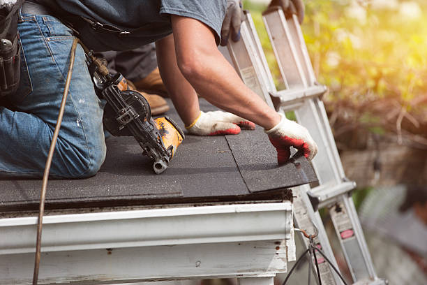 Professional Roofing Contractor in Winfield, IL