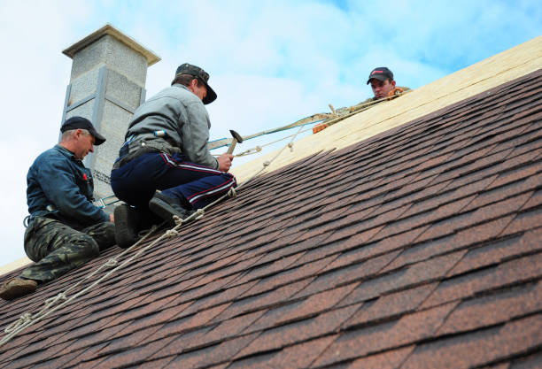 Best Flat Roof Repair Services  in Winfield, IL